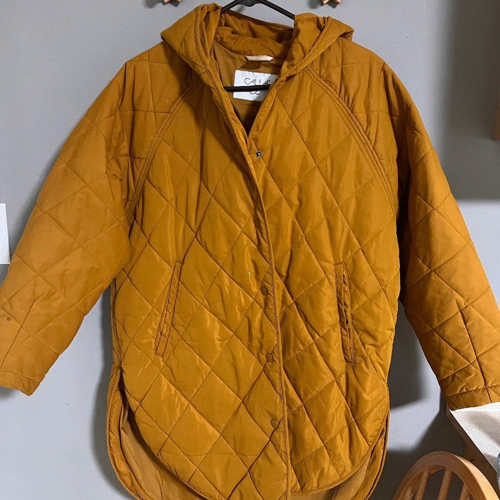 Calia Fall Jacket - image 1